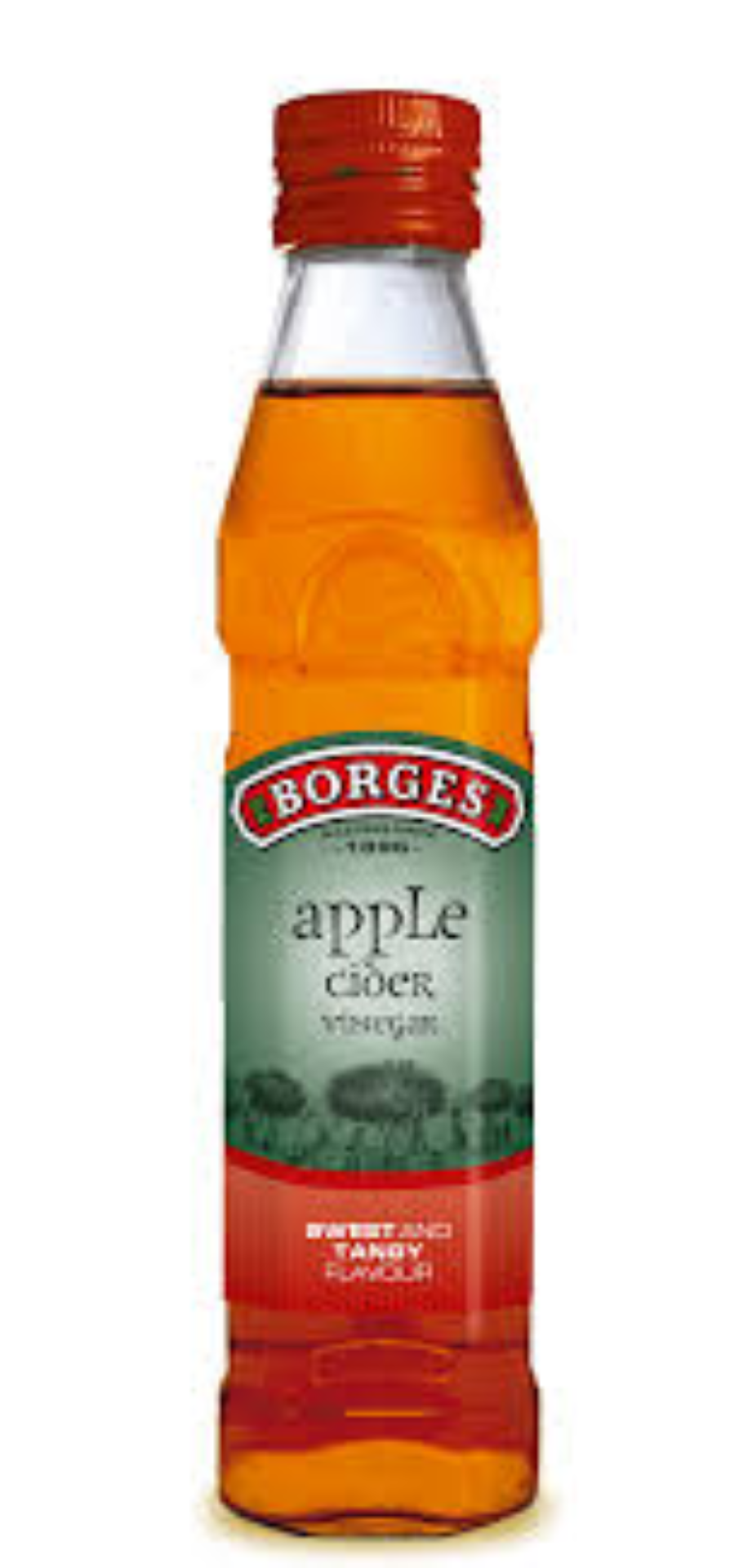 BORGES ORG APPLE CIDER VINEGAR 500ML